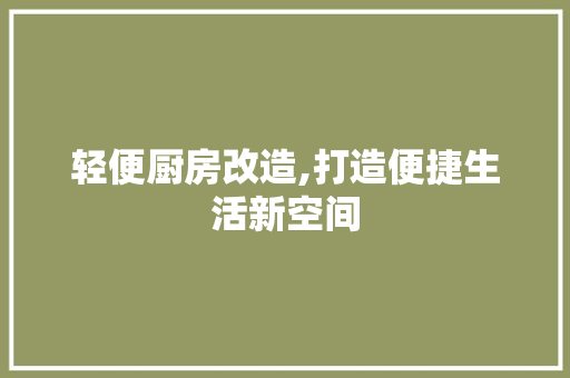 轻便厨房改造,打造便捷生活新空间