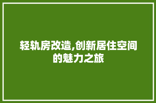 轻轨房改造,创新居住空间的魅力之旅