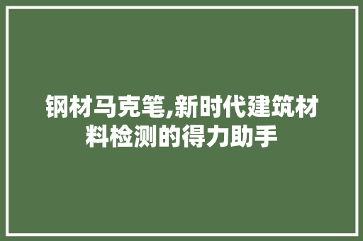 钢材马克笔,新时代建筑材料检测的得力助手