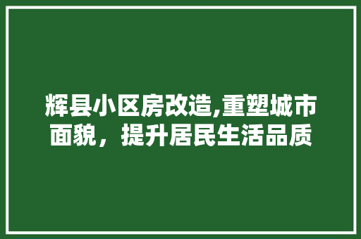辉县小区房改造,重塑城市面貌，提升居民生活品质