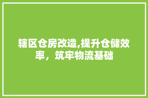 辖区仓房改造,提升仓储效率，筑牢物流基础