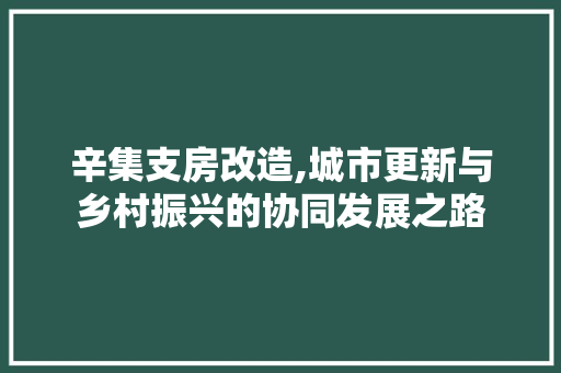 辛集支房改造,城市更新与乡村振兴的协同发展之路