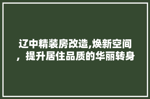 辽中精装房改造,焕新空间，提升居住品质的华丽转身