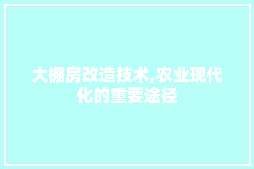 大棚房改造技术,农业现代化的重要途径