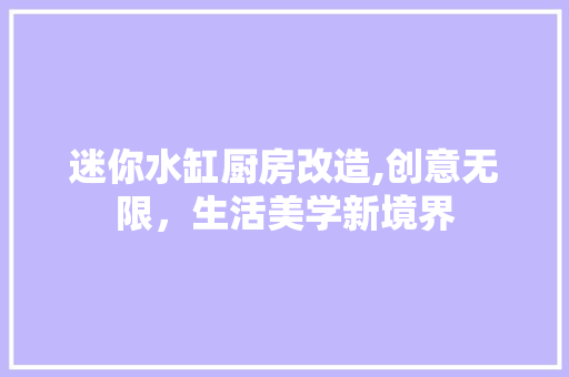 迷你水缸厨房改造,创意无限，生活美学新境界
