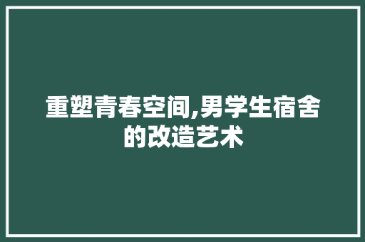 重塑青春空间,男学生宿舍的改造艺术