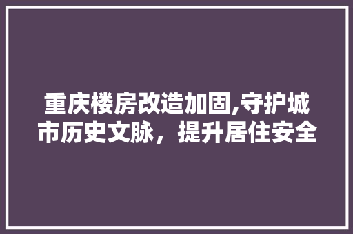 重庆楼房改造加固,守护城市历史文脉，提升居住安全