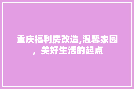 重庆福利房改造,温馨家园，美好生活的起点