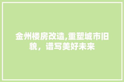 金州楼房改造,重塑城市旧貌，谱写美好未来
