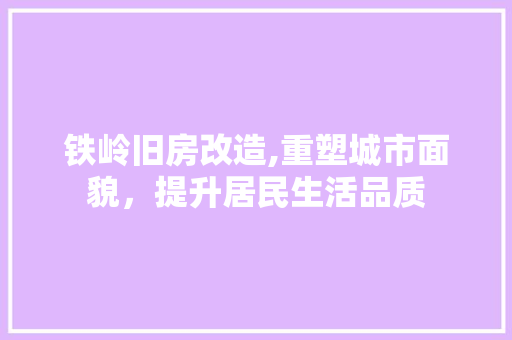 铁岭旧房改造,重塑城市面貌，提升居民生活品质