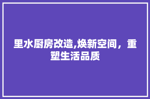里水厨房改造,焕新空间，重塑生活品质