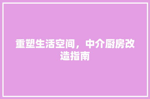 重塑生活空间，中介厨房改造指南