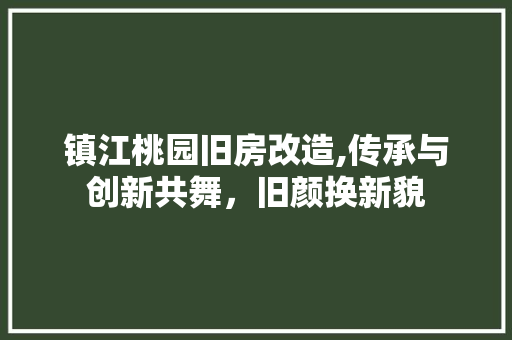 镇江桃园旧房改造,传承与创新共舞，旧颜换新貌