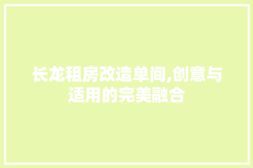 长龙租房改造单间,创意与适用的完美融合