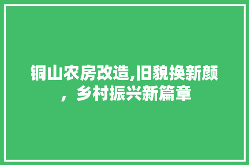 铜山农房改造,旧貌换新颜，乡村振兴新篇章