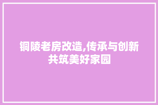铜陵老房改造,传承与创新共筑美好家园