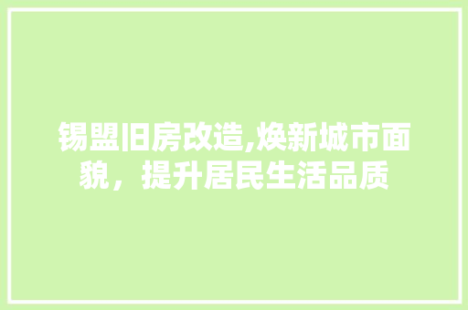 锡盟旧房改造,焕新城市面貌，提升居民生活品质