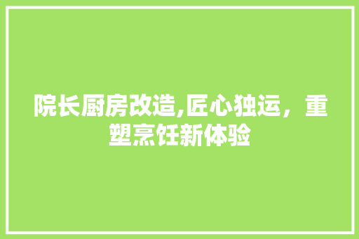 院长厨房改造,匠心独运，重塑烹饪新体验
