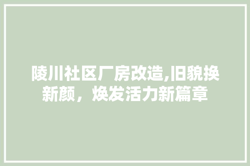 陵川社区厂房改造,旧貌换新颜，焕发活力新篇章