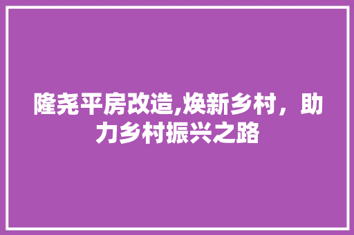 隆尧平房改造,焕新乡村，助力乡村振兴之路