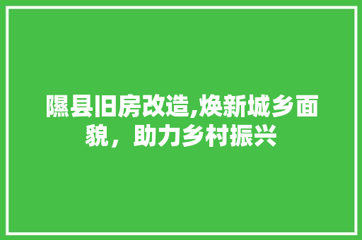 隰县旧房改造,焕新城乡面貌，助力乡村振兴