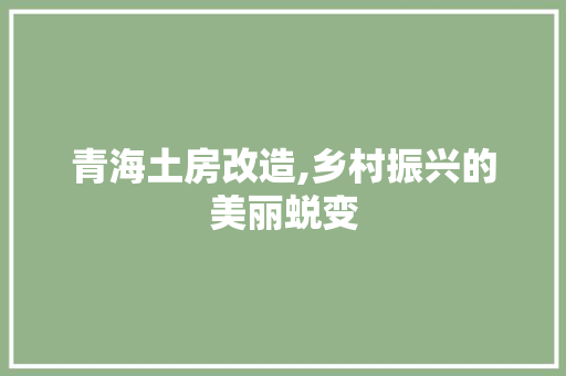 青海土房改造,乡村振兴的美丽蜕变