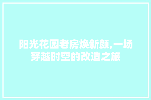 阳光花园老房焕新颜,一场穿越时空的改造之旅