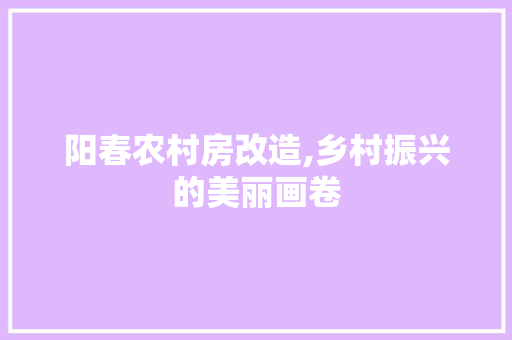 阳春农村房改造,乡村振兴的美丽画卷