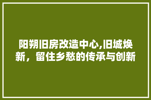 阳朔旧房改造中心,旧城焕新，留住乡愁的传承与创新