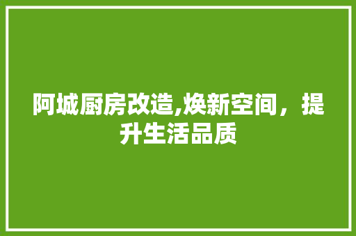 阿城厨房改造,焕新空间，提升生活品质