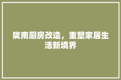 陇南厨房改造，重塑家居生活新境界