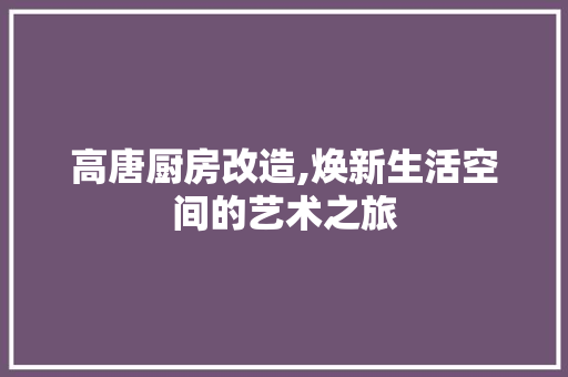 高唐厨房改造,焕新生活空间的艺术之旅