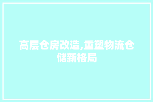 高层仓房改造,重塑物流仓储新格局