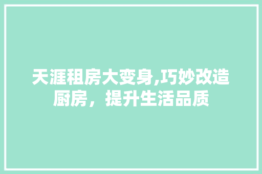天涯租房大变身,巧妙改造厨房，提升生活品质
