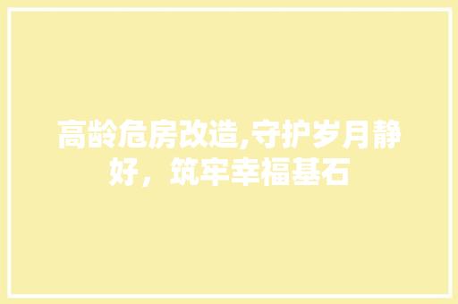高龄危房改造,守护岁月静好，筑牢幸福基石