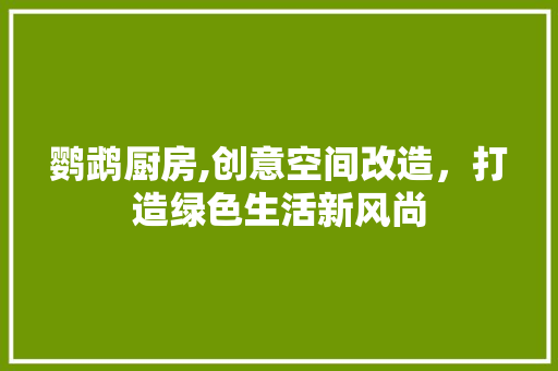 鹦鹉厨房,创意空间改造，打造绿色生活新风尚