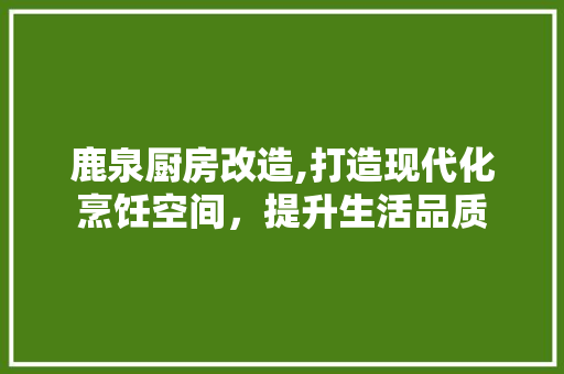 鹿泉厨房改造,打造现代化烹饪空间，提升生活品质