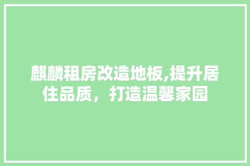 麒麟租房改造地板,提升居住品质，打造温馨家园