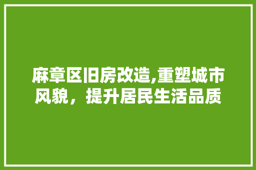 麻章区旧房改造,重塑城市风貌，提升居民生活品质