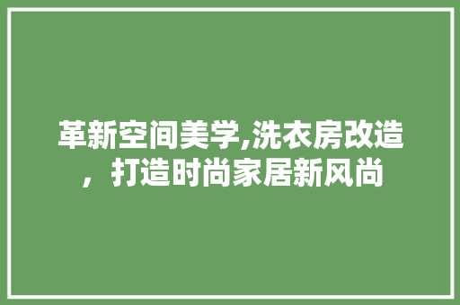 革新空间美学,洗衣房改造，打造时尚家居新风尚
