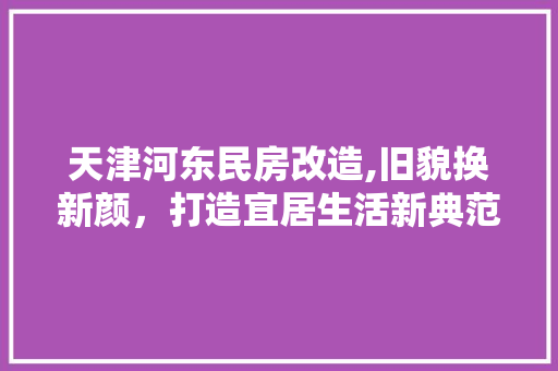 天津河东民房改造,旧貌换新颜，打造宜居生活新典范