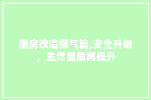 厨房改造煤气篇,安全升级，生活品质再提升