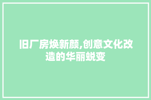 旧厂房焕新颜,创意文化改造的华丽蜕变