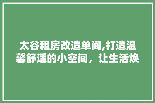 太谷租房改造单间,打造温馨舒适的小空间，让生活焕然一新