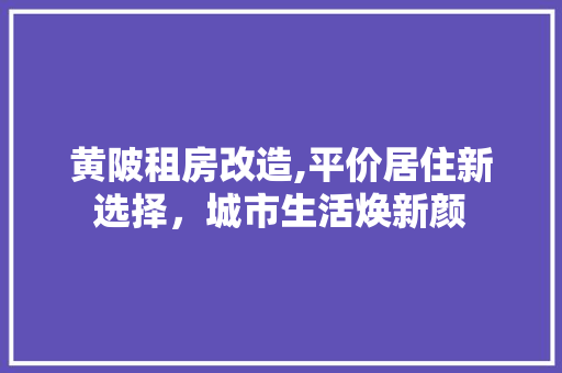黄陂租房改造,平价居住新选择，城市生活焕新颜
