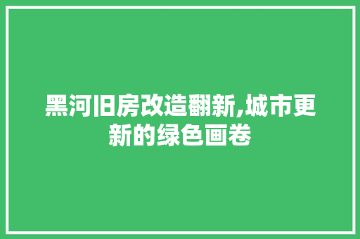 黑河旧房改造翻新,城市更新的绿色画卷