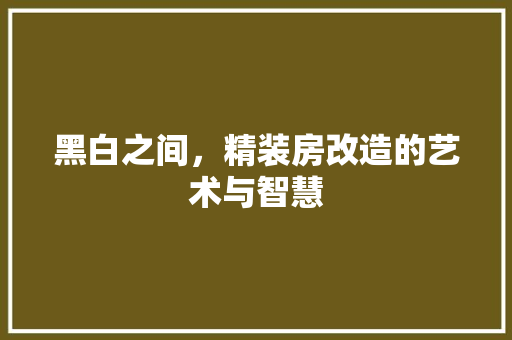 黑白之间，精装房改造的艺术与智慧