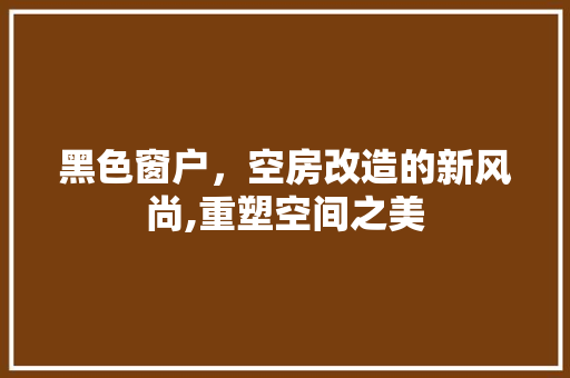黑色窗户，空房改造的新风尚,重塑空间之美