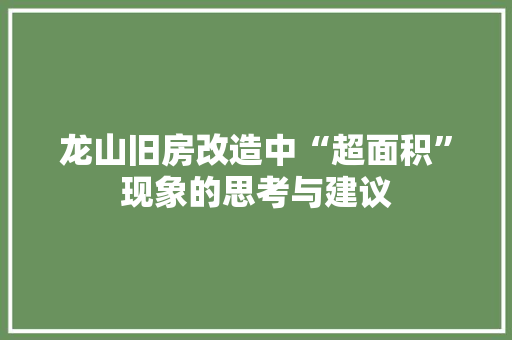 龙山旧房改造中“超面积”现象的思考与建议