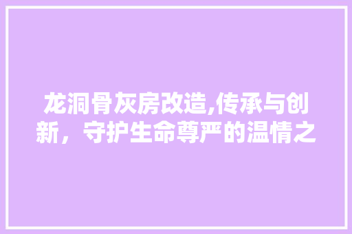 龙洞骨灰房改造,传承与创新，守护生命尊严的温情之举